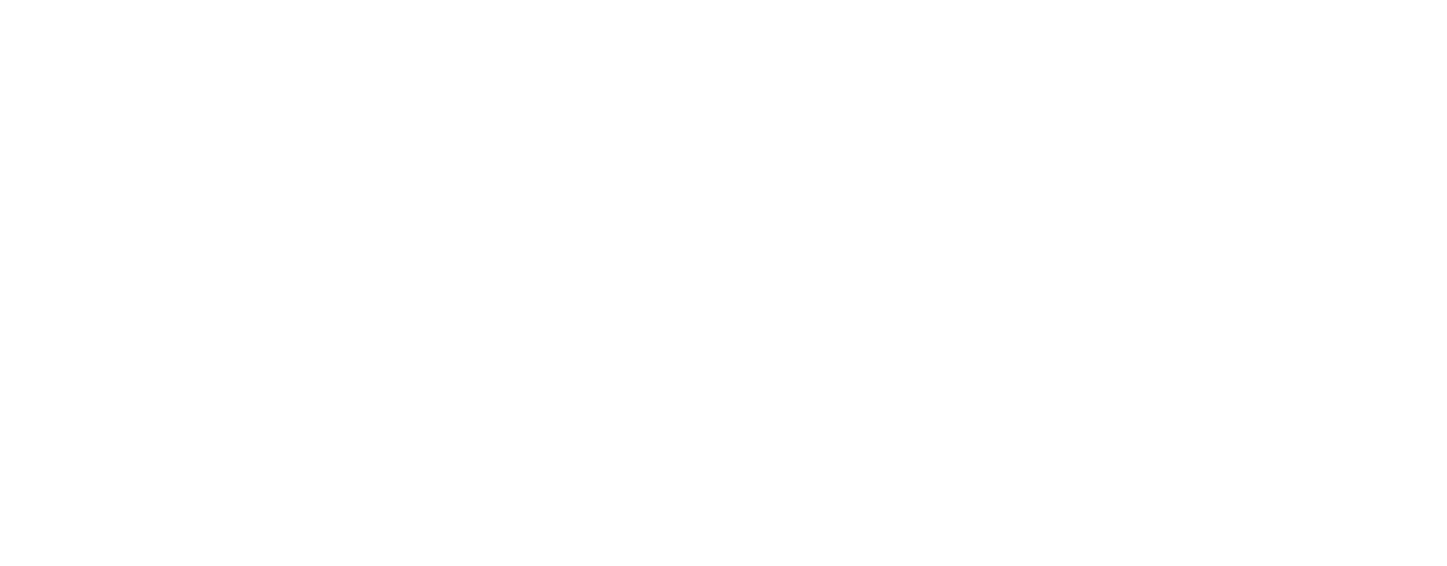 Temax Logo